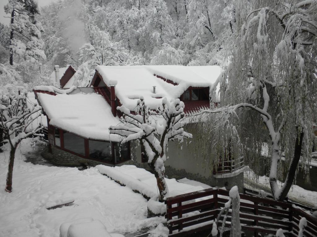 Rem'S Pension Rîşnov Esterno foto